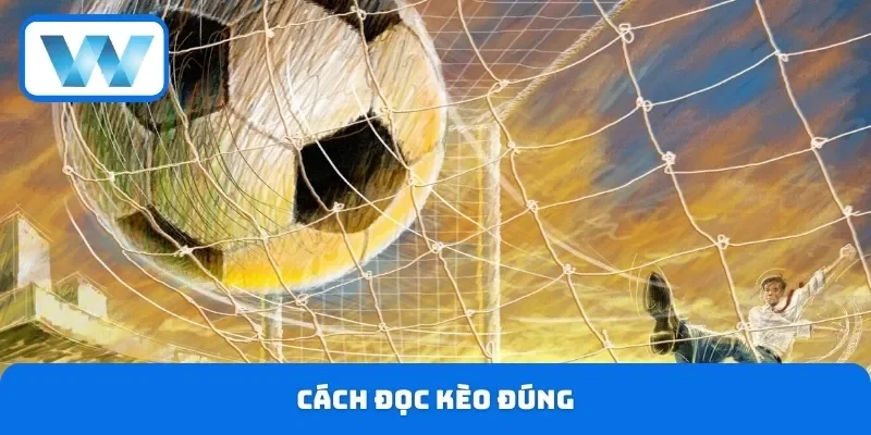 Kèo Tỷ Số Chính Xác - Cách Đặt Cược Với Nhiều Mẹo Dễ Thắng 3 Cách đọc kèo đúng