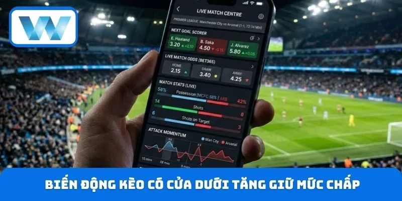 Chú ý biến động kèo có cửa dưới tăng giữ nguyên mức chấp