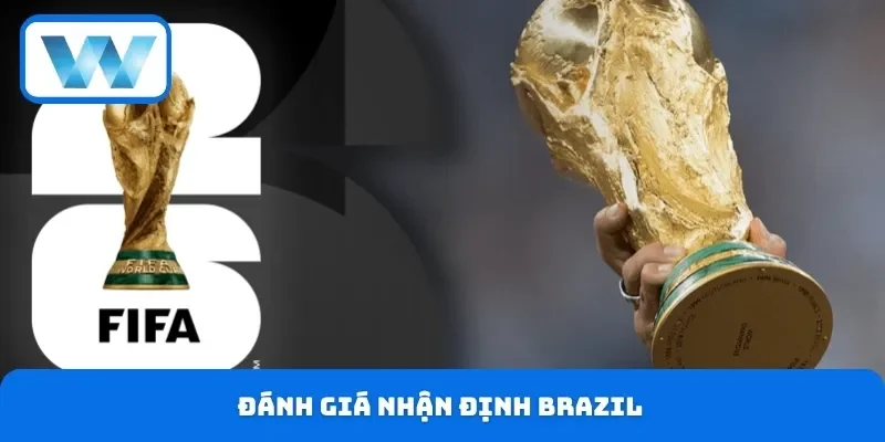 Đánh giá nhận định Brazil