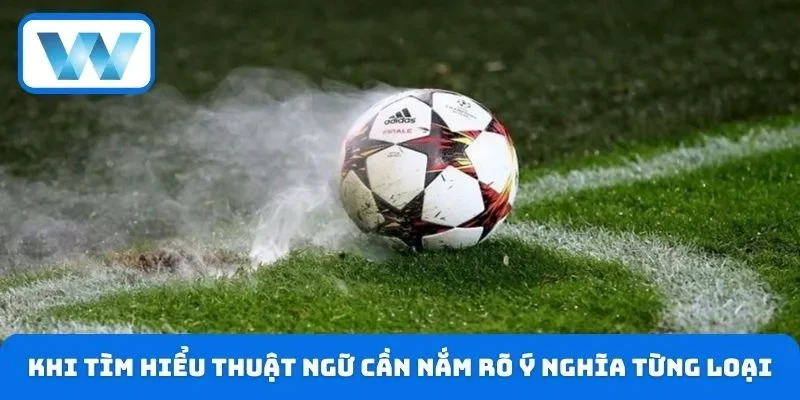 Thuật Ngữ Cá Độ W88 - Cẩm Nang Bet Thủ Cần Nắm Vững 2026 5 Khi tìm hiểu thuật ngữ cần nắm rõ ý nghĩa từng loại
