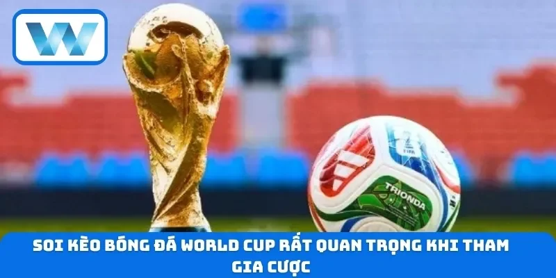 Soi kèo bóng đá World Cup rất quan trọng khi tham gia cược