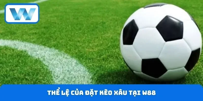 Thể lệ của đặt kèo xâu tại W88