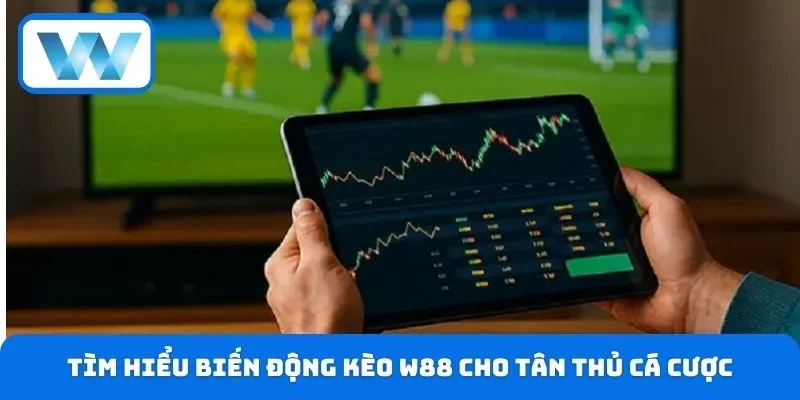 Tìm hiểu biến động kèo W88 cho tân thủ cá cược