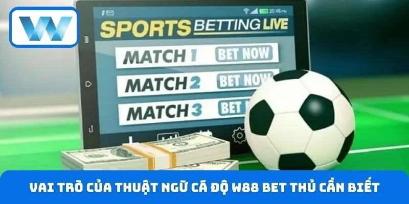 Thuật Ngữ Cá Độ W88 - Cẩm Nang Bet Thủ Cần Nắm Vững 2026 2 Vai trò của thuật ngữ cá độ W88 bet thủ cần biết